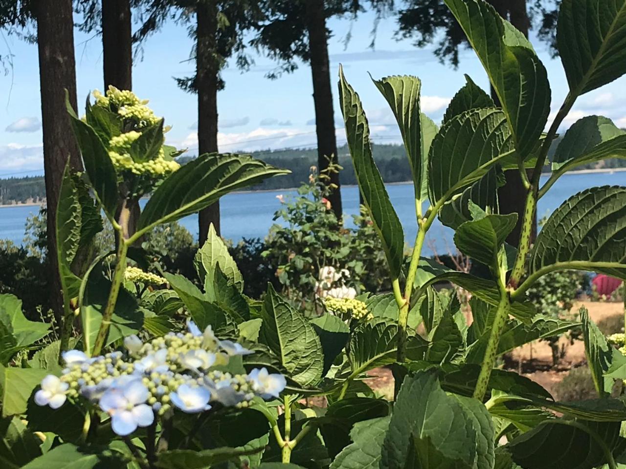 Union Bay Log Home Екстериор снимка